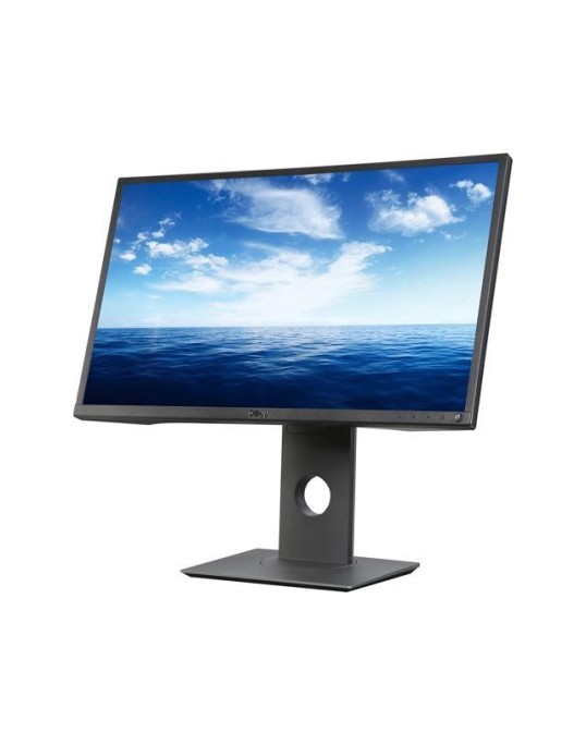 24" Dell P2417h 24" Dell P2417h