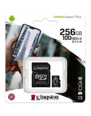 256GB mälukaart, Kingston