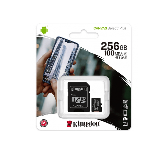 256GB mälukaart, Kingston