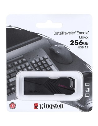 256GB USB3.2 mälupulk, Kingston