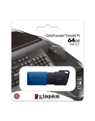 64GB USB3.2 mälupulk, Kingston