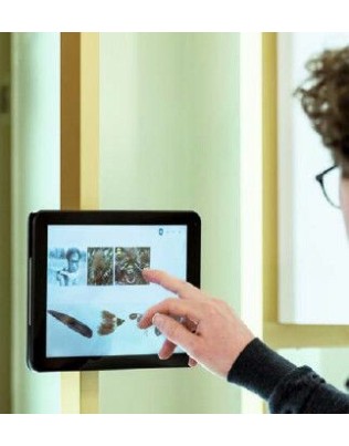 10" Philips Multi-Touch Display