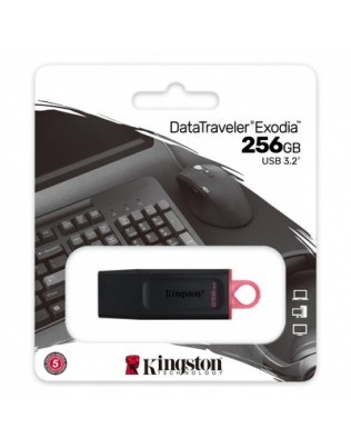 256GB USB 3.2 mälupulk, Kingston