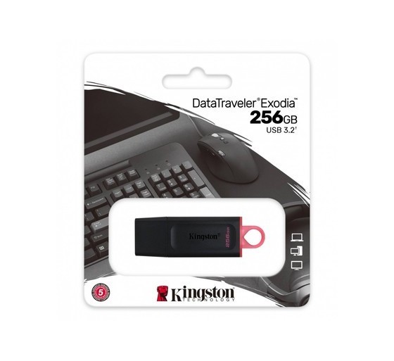 256GB USB 3.2 mälupulk, Kingston